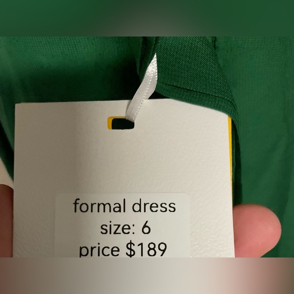 Elegant Green Dress NWT Corset back PTP 16 - Picture 5 of 8